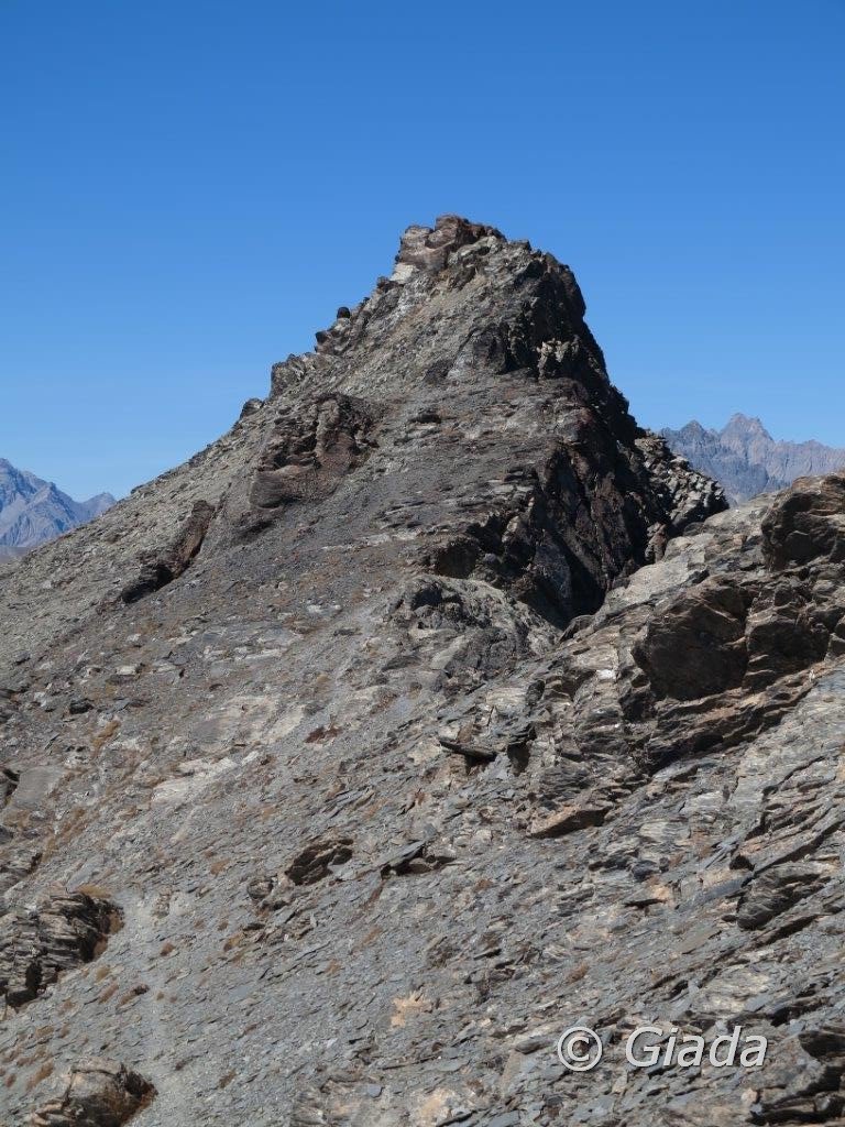 Cima delle Lose e Punta Incianao